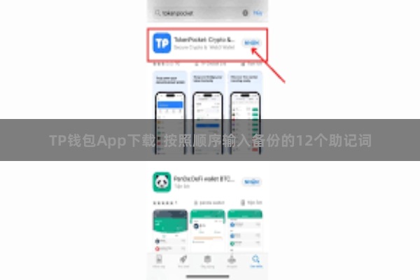 TP钱包App下载 按照顺序输入备份的12个助记词