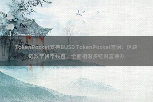 TokenPocket支持BUSD TokenPocket官网：区块链数字货币钱包，全面相沿多链财富惩办