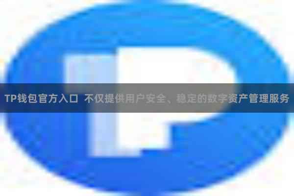 TP钱包官方入口 不仅提供用户安全、稳定的数字资产管理服务
